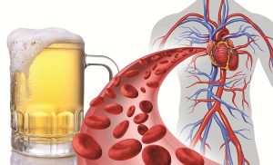 Rượu bia là nguyên nhân gián tiếp của ít nhất 200 loại bệnh tật, chấn thương